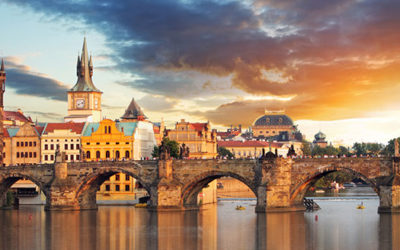 UEMS PRM Section & Board Assembly